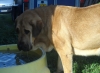 Filename=manchas_portrait.jpg
Filesize=166KiB
Dimensions=826x603
Date added=%436 %15, %2010 manchas_portrait.jpg