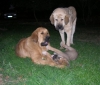 Filename=trio2.jpg
Filesize=101KiB
Dimensions=535x456
Date added=%871 %30, %2009 trio2.jpg