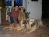 Filename=triowith_me.jpg
Filesize=102KiB
Dimensions=581x446
Date added=%729 %19, %2010 triowith_me.jpg