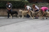 Filename=villablino_august__201417.JPG
Filesize=980KiB
Dimensions=1221x814
Date added=%728 %19, %2014 villablino_august__201417.JPG