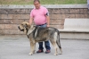 Filename=villablino_august__sardon.jpg
Filesize=113KiB
Dimensions=717x478
Date added=%894 %19, %2014 villablino_august__sardon.jpg