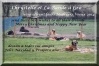 Filename=voeux_2014.jpg
Filesize=193KiB
Dimensions=905x603
Date added=%847 %23, %2013 voeux_2014.jpg
