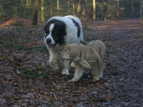 Efonso with Barosso
