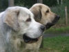 Filename=CIMG2370_2.jpg
Filesize=278KiB
Dimensions=640x480
Date added=%351 %25, %2010 CIMG2370_2.jpg