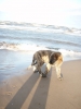 Filename=___see_isn_t_for_me!.JPG
Filesize=58KiB
Dimensions=461x614
Date added=%362 %31, %2007 ___see_isn_t_for_me!.JPG