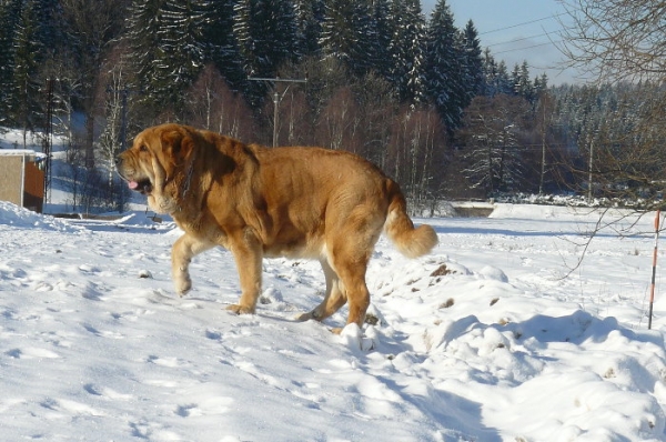 Historia Tornádo Erben 
nearly 3,5y
Keywords: snow nieve Historia TornÃ¡do Erben, Con Fundo