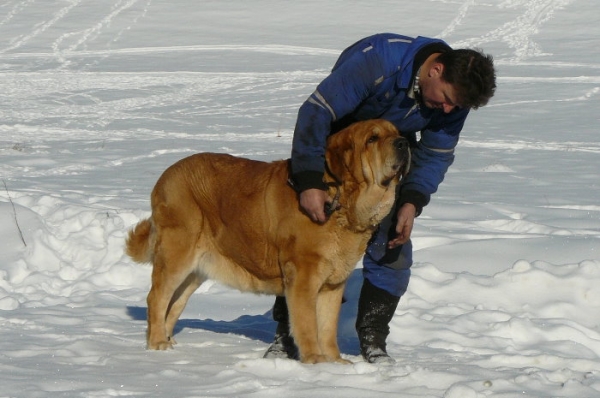 Historia Tornádo Erben 
nearly 3,5y
Keywords: snow nieve Historia TornÃ¡do Erben, Con Fundo