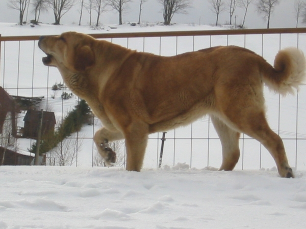 Historia Tornado Erben
Watching ...


Keywords: snow nieve confundo