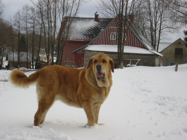 Historia Tornado Erben
Joy from snow


Keywords: snow nieve confundo