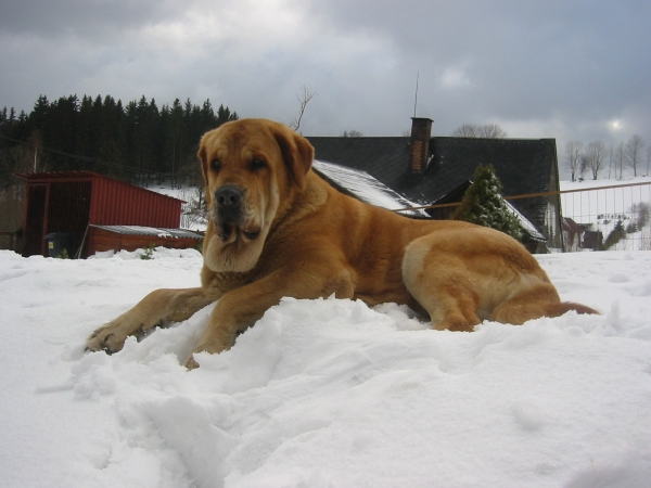 Historia Tornado Erben
Relax


Keywords: snow nieve confundo