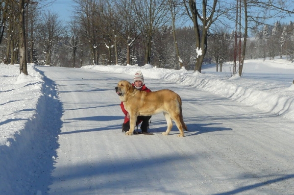 Amie Con Fundo
10 month old
Keywords: snow nieve Amie Con Fundo