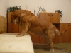 Filename=Historia_3.JPG
Filesize=90KiB
Dimensions=700x525
Date added=%869 %20, %2008 Historia_3.JPG