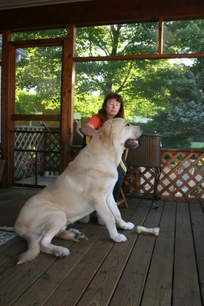 Romulo de Campollano (Leon) - 10 months old
Who is taller me or mom?  


Keywords: moreno