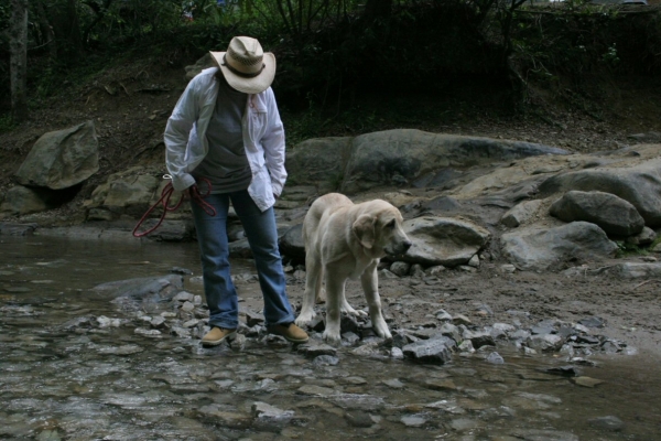 Romulo de Campollano - 8½ months old
Uhm water...... so do I get my feet wet or let them carry me??????
Keywords: moreno