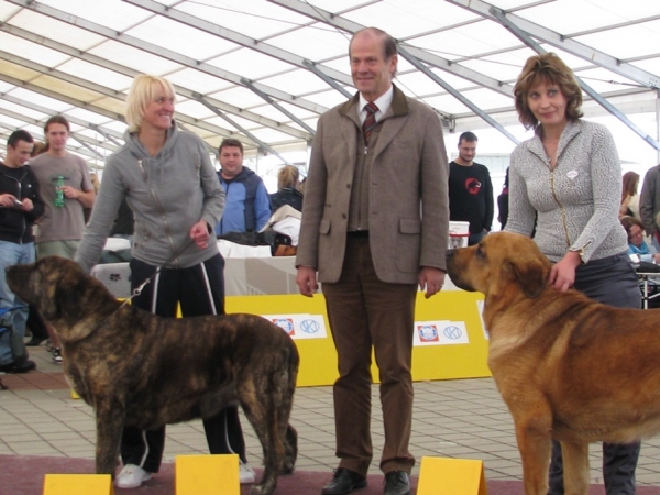 Hessi Mastibe and Neron de Filandon - CLUB DOG SHOW SLOVAKIA MOLOSS CLUB, Slovakia - 11.10.2009
Keywords: 2009 cortedemadrid