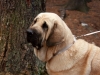 Filename=139560454.jpg
Filesize=186KiB
Dimensions=785x592
Date added=%560 %06, %2010 139560454.jpg