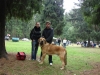 Filename=2.JPG
Filesize=304KiB
Dimensions=859x645
Date added=%571 %06, %2010 2.JPG