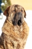 Filename=Bandi.jpg
Filesize=565KiB
Dimensions=682x1023
Date added=%565 %19, %2010 Bandi.jpg