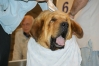 Filename=Neron3.JPG
Filesize=420KiB
Dimensions=921x613
Date added=%516 %23, %2010 Neron3.JPG
