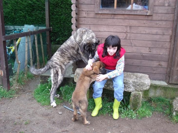 Adela , Morita y Loba.
Keywords: kids ramon