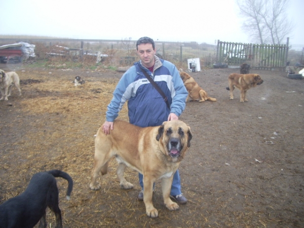 yo y Leon de Cueto Negro.
Leon de Cueto  Negro, padre de mi perro Quijano de Cueto Negro (Zar)
Keywords: ramon