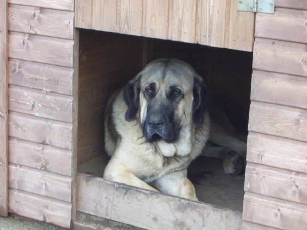 Zar ( Quijano de Cueto Negro )  Trece meses.
Keywords: ramon