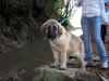 Filename=101_0047.jpg
Filesize=154KiB
Dimensions=600x450
Date added=%787 %20, %2008 101_0047.jpg