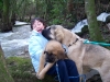 Filename=101_0051.jpg
Filesize=171KiB
Dimensions=600x450
Date added=%783 %20, %2008 101_0051.jpg
