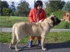 Filename=16_mayo.jpg
Filesize=20KiB
Dimensions=320x240
Date added=%628 %17, %2008 16_mayo.jpg