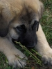 Filename=HPIM1458.JPG
Filesize=40KiB
Dimensions=450x600
Date added=%816 %09, %2007 HPIM1458.JPG