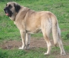 Filename=ZAR.JPG
Filesize=103KiB
Dimensions=798x672
Date added=%712 %31, %2010 ZAR.JPG