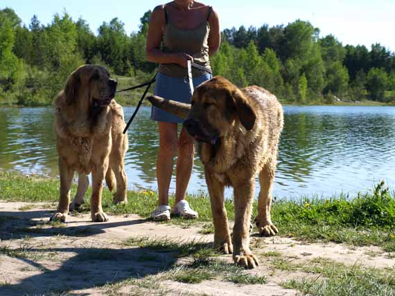 Massai (Elton z Kraje Sokolu) and his 7 month old son Alvaro (Anuler Alvaro) at the lake
