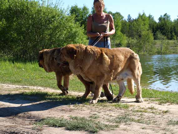 father and son together at the lake first time, 7 month old Anuler Alvaro and almost 5 years old Elton z Kraje Sokolu
