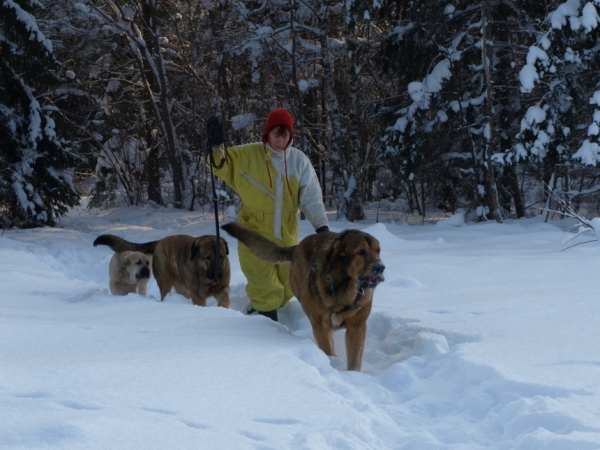 Jacinta 3,5 month, Coco 3,5 years, Alvaro 15 month
Keywords: snow nieve Anuler