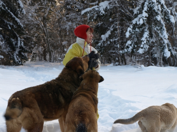 Alvaro, Coco, Jacinta
Keywords: snow nieve Anuler