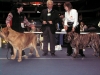 Filename=09,02,08elton,hessi.jpg
Filesize=206KiB
Dimensions=500x375
Date added=%404 %05, %2008 09,02,08elton,hessi.jpg