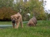 Filename=PA174394.JPG
Filesize=190KiB
Dimensions=650x487
Date added=%925 %19, %2010 PA174394.JPG