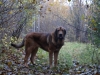 Filename=PA244647.JPG
Filesize=336KiB
Dimensions=800x600
Date added=%731 %24, %2009 PA244647.JPG