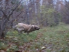Filename=PA244656.JPG
Filesize=261KiB
Dimensions=800x600
Date added=%728 %24, %2009 PA244656.JPG