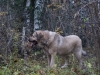 Filename=PA244673.JPG
Filesize=422KiB
Dimensions=800x600
Date added=%727 %24, %2009 PA244673.JPG