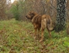 Filename=PA244679.JPG
Filesize=471KiB
Dimensions=800x616
Date added=%731 %24, %2009 PA244679.JPG