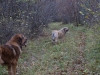 Filename=PA244686.JPG
Filesize=446KiB
Dimensions=800x600
Date added=%735 %24, %2009 PA244686.JPG