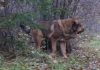Filename=PA244694.JPG
Filesize=277KiB
Dimensions=800x564
Date added=%730 %24, %2009 PA244694.JPG