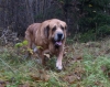 Filename=PA244721.JPG
Filesize=346KiB
Dimensions=800x637
Date added=%732 %24, %2009 PA244721.JPG