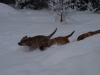 Filename=PB285134.JPG
Filesize=106KiB
Dimensions=600x450
Date added=%822 %01, %2010 PB285134.JPG
