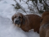 Filename=PB285166.JPG
Filesize=141KiB
Dimensions=600x450
Date added=%821 %01, %2010 PB285166.JPG