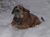 Filename=PB285203.JPG
Filesize=110KiB
Dimensions=600x450
Date added=%820 %01, %2010 PB285203.JPG