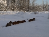 Filename=PB285272.JPG
Filesize=140KiB
Dimensions=600x450
Date added=%817 %01, %2010 PB285272.JPG