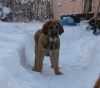 Filename=PB285346.JPG
Filesize=142KiB
Dimensions=600x532
Date added=%819 %01, %2010 PB285346.JPG