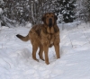 Filename=PB285351.JPG
Filesize=187KiB
Dimensions=600x531
Date added=%827 %01, %2010 PB285351.JPG